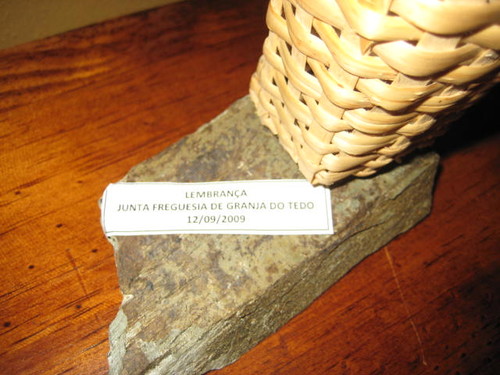 1&ordm; Passeio Cl&aacute;ssico das Vindimas de Tabua&ccedil;o (3)
