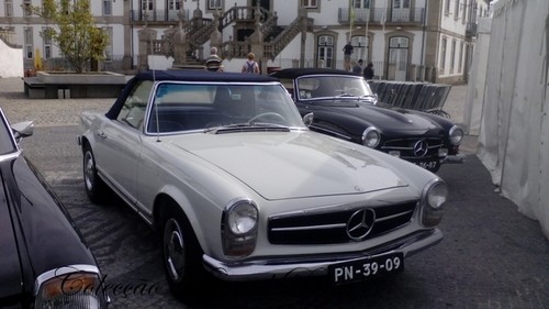 XXXIV Passeio Mercedes-Benz  (38).jpg