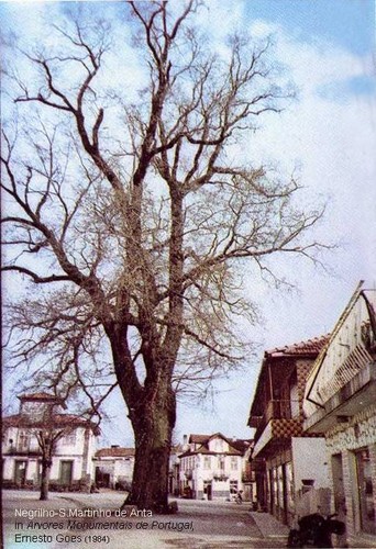 IX Passeio Aleu 2007 (51).jpg