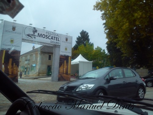 2&ordf; Rota do Moscatel 2016 Favaios  (259).jpg
