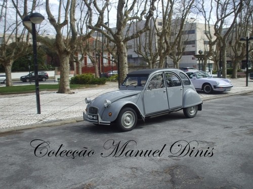 7º Encontro ADAVC Parte 5