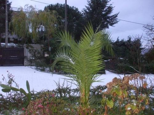 Neve em Vila Real