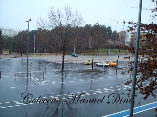 DSC_0113.jpg