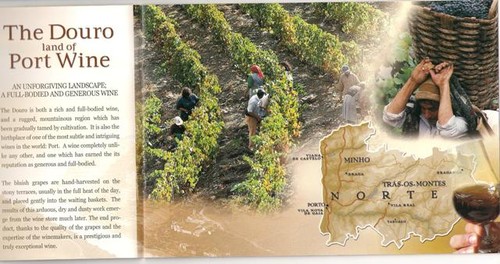 1&ordm; Passeio Cl&aacute;ssico das Vindimas de Tabua&ccedil;o (48