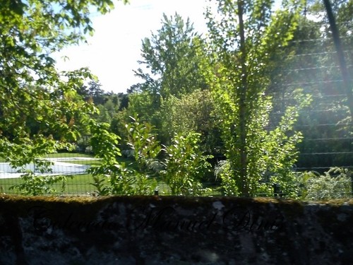 DSC_1221.jpg