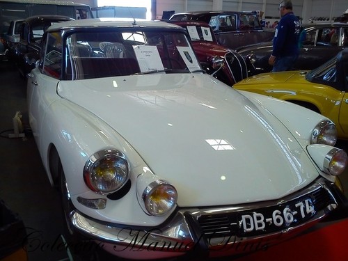 XXV Automobilia 2017 (68).jpg