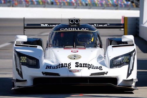 15380755_10208073084887887_5477820830542307680_n.j