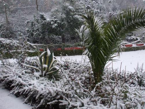 10 de Janeiro de 2010
