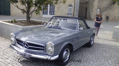 XXXIV Passeio Mercedes-Benz  (15).jpg