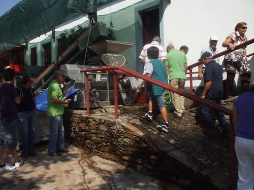 1&ordm; Passeio Cl&aacute;ssico das Vindimas de Tabua&ccedil;o (18
