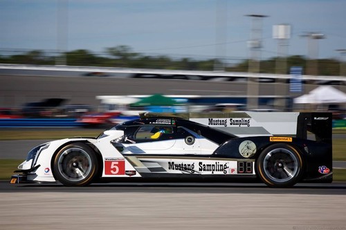 15894814_10206896515771280_1738496631581053610_n.j 15894814_10206896515771280_1738496631581053610_n.j