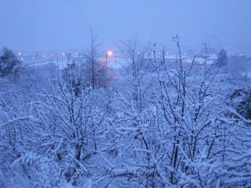 Um nevão como os de antigamente