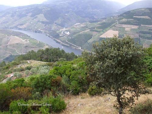 IX Passeio Aleu 2007 (42).jpg IX Passeio Aleu 2007 (42).jpg