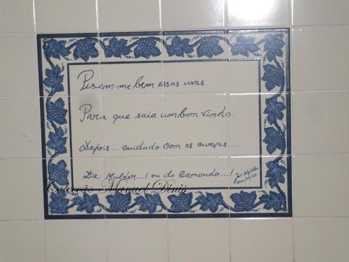 1&ordm; Passeio Cl&aacute;ssico das Vindimas de Tabua&ccedil;o (52