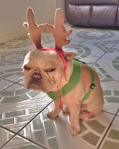 odeiamNatal.jpg