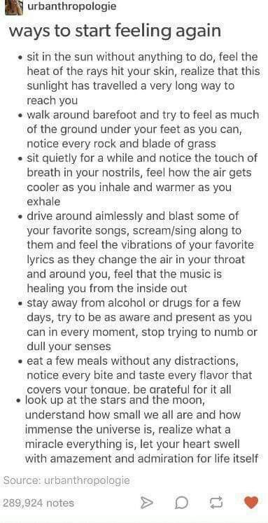 advice #2