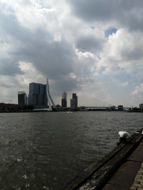 IMG_20200718_123017.jpg
