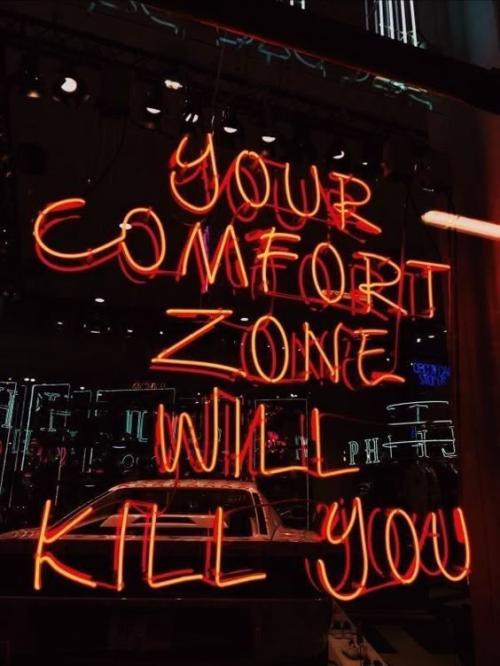 confort zone will kill you