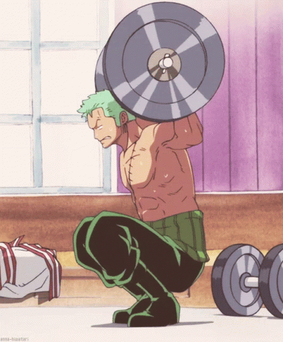 Zoro One Piece GIF - Zoro One Piece Training GIFs