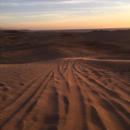 *dias desertos