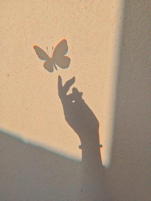 Gratidão - Mês 9