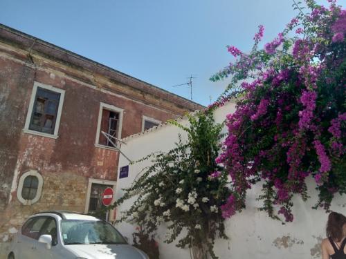 IMG_20190814_115350.jpg