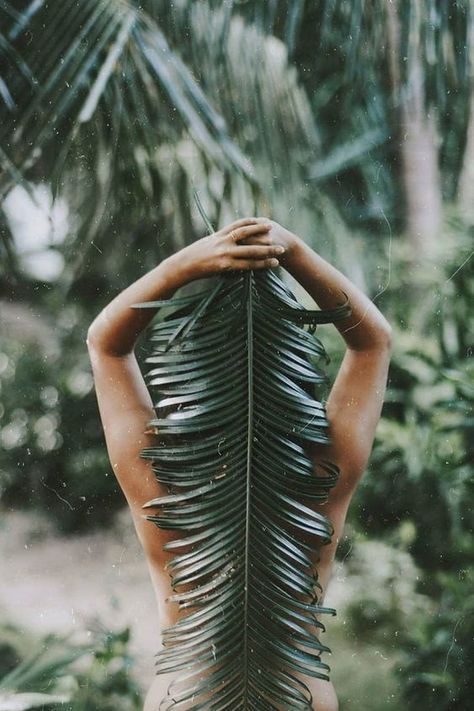 Desafio: Castanho Escuro