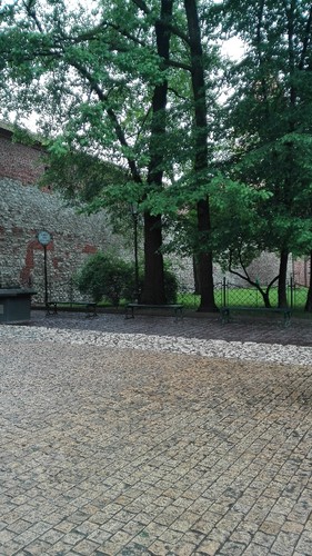 IMG_20170525_131106.jpg IMG_20170525_131106.jpg