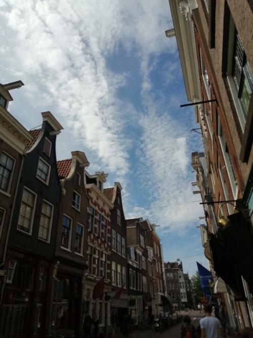 IMG_20200719_110815.jpg