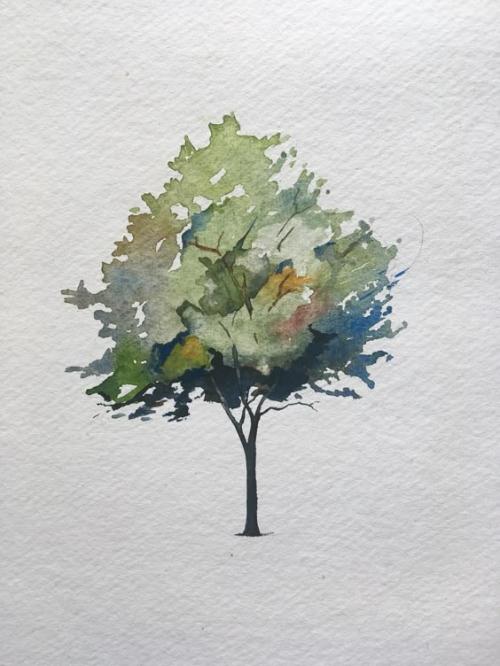 Desafio: Verde Escuro