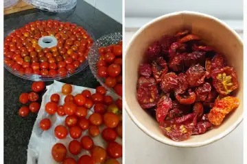 Tomate Cherry Desidratado