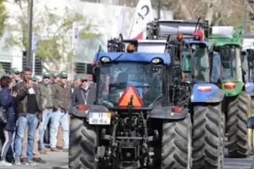 Agricultores do Baixo Alentejo no limite da resistência