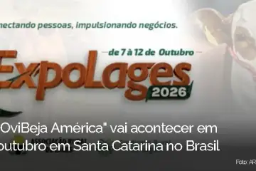 "OviBeja América" promove Baixo Alentejo no Brasil