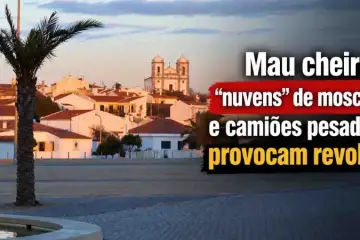 Mau cheiro e nuvens de moscas estão a afetar concelhos de Castro Verde e Mértola