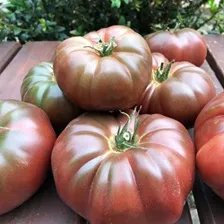Tomate preto da Crimeia
