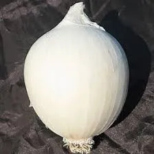 Cebola branca gigante