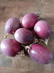 Maracujá edulis