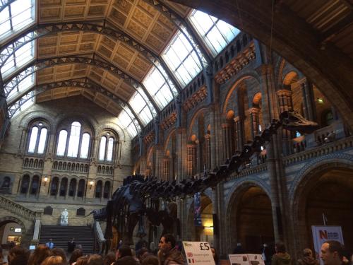 IMG_0334.JPG IMG_0334.JPG