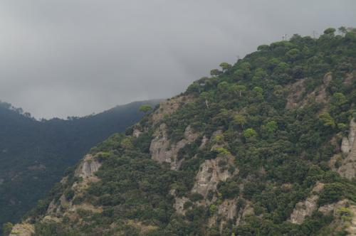 DSC00594