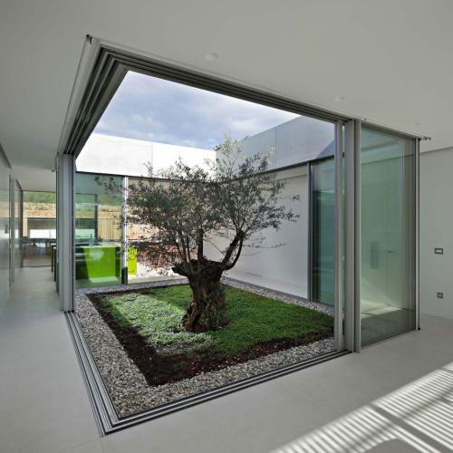 Olive-House-14-1150x1150.jpg Olive-House-14-1150x1150.jpg