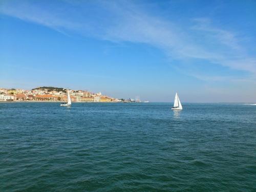 DSC_4224.jpg