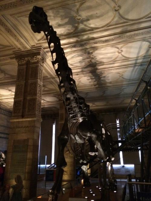 IMG_0340.jpg IMG_0340.jpg