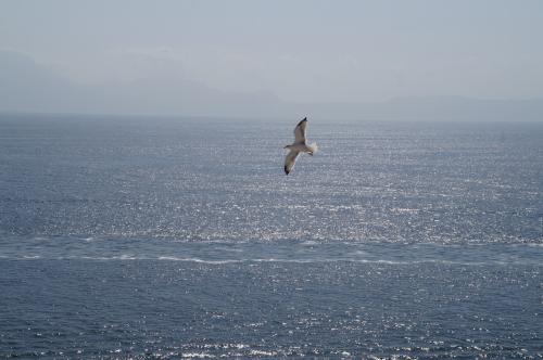 DSC00898