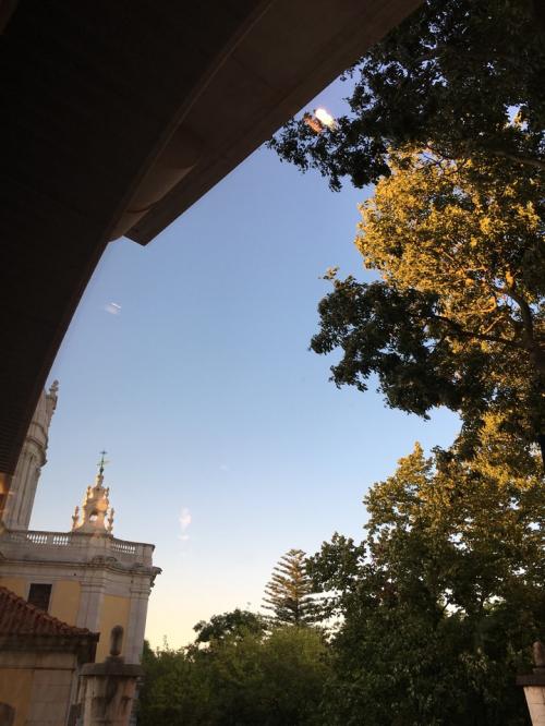 IMG_6218.JPG IMG_6218.JPG