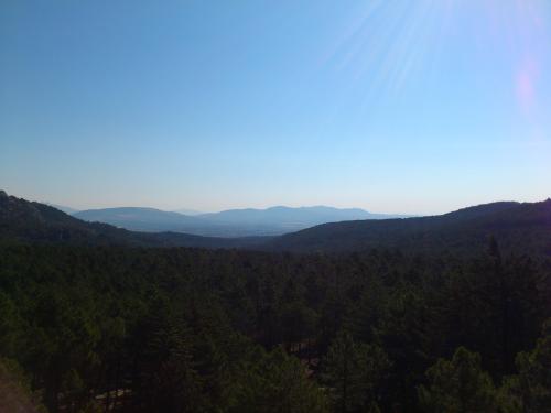DSC_4062.jpg DSC_4062.jpg