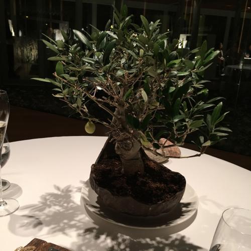 IMG_0308.JPG IMG_0308.JPG