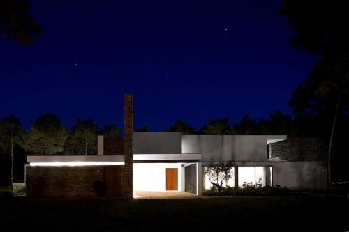 31.jpg 31.jpg