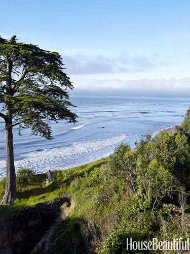 marin-county-california-beach-landscape-0712-demps