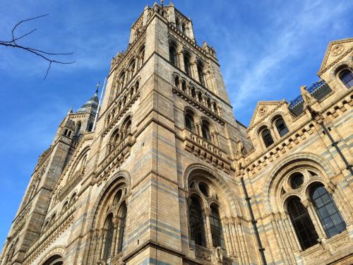 IMG_0303.JPG IMG_0303.JPG
