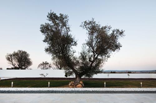 Ribatejo-House-04-800x533.jpg